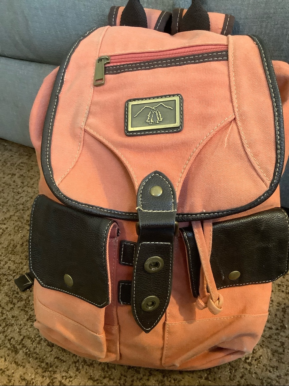 Cute backpack. happily used condition. Fabric loose at flap.. some fading